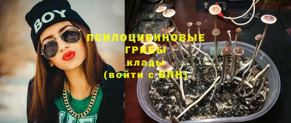 СК Алексеевка