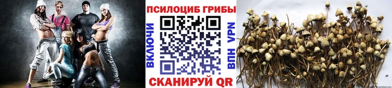 МЕГА как зайти  Тобольск  Галлюциногенные грибы Psilocybe 
